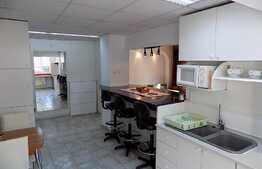 Apartament 2 camere, 60 mp, mobilat modern, garaj, zona strazii Gheorghe Dima