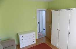 Apartament 2 camere, 60 mp, mobilat modern, garaj, zona strazii Gheorghe Dima