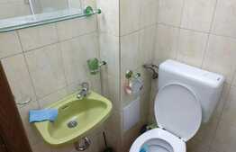 Garsoniera, 26 mp, renovat recent, zona strazii Fabricii