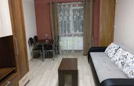 Garsoniera, 26 mp, renovat recent, zona strazii Fabricii