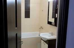 Apartament 2 camere, 45 mp, mobilat modern, zona Iulius Mall