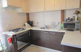 Apartament 2 camere + nisa de dormit, 42 mp, terasa, zona FSEGA