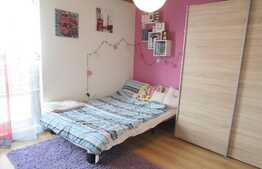 Apartament 2 camere + nisa de dormit, 42 mp, terasa, zona FSEGA