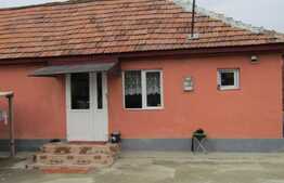 Vanzare casa individuala, 40 mp, 250 mp teren, zona de case