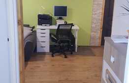 Apartament 2 camere, 48 mp, etaj intermediar, zona Parcului Central