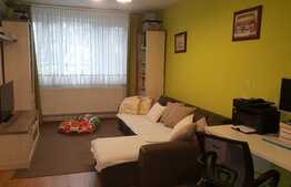 Apartament 2 camere, 48 mp, etaj intermediar, zona Parcului Central