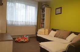 Apartament 2 camere, 48 mp, etaj intermediar, zona Parcului Central