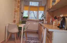 Apartament 2 camere, 48 mp, etaj intermediar, zona Parcului Central