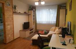 Apartament 2 camere, 48 mp, etaj intermediar, zona Parcului Central