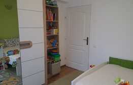 Apartament 2 camere, 48 mp, etaj intermediar, zona Parcului Central