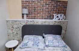 Apartament 3 camere pe 2 niveluri, 55 mp, boxa subsol, zona strazii Horea