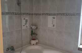 Spatiu birouri, 250 mp, zona strazii Horea