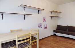 Garsoniera de inchiriat, 24 mp, zona Piata Zorilor