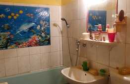 De vanzare apartament 2 camere, 45 mp, zona strazii Horea
