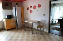 De inchiriat apartament 2 camere, 56 mp, parcare, zona strazii Cometei