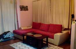 Apartament 2 camere, 55 mp, mobilat modern, prima inchiriere, parcare, zona strazii Campului