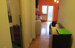 De vanzare apartament 2 camere, 40 mp, gradina, zona Profi