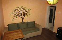 Apartament 2 camere, 40 mp, zona strazii Constantin Brancusi