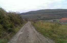 Teren intravilan 1000 mp, front de 37 ml, zona linistita