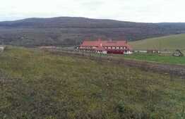 Teren intravilan 1000 mp, front de 37 ml, zona linistita