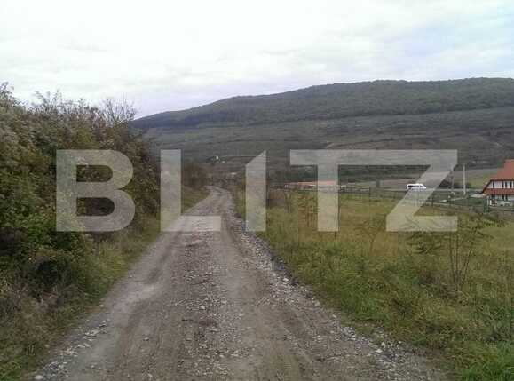 Teren de vânzare Baciu - 30266TV | BLITZ Cluj-Napoca | Poza2