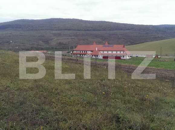 Teren de vânzare Baciu - 30266TV | BLITZ Cluj-Napoca | Poza1