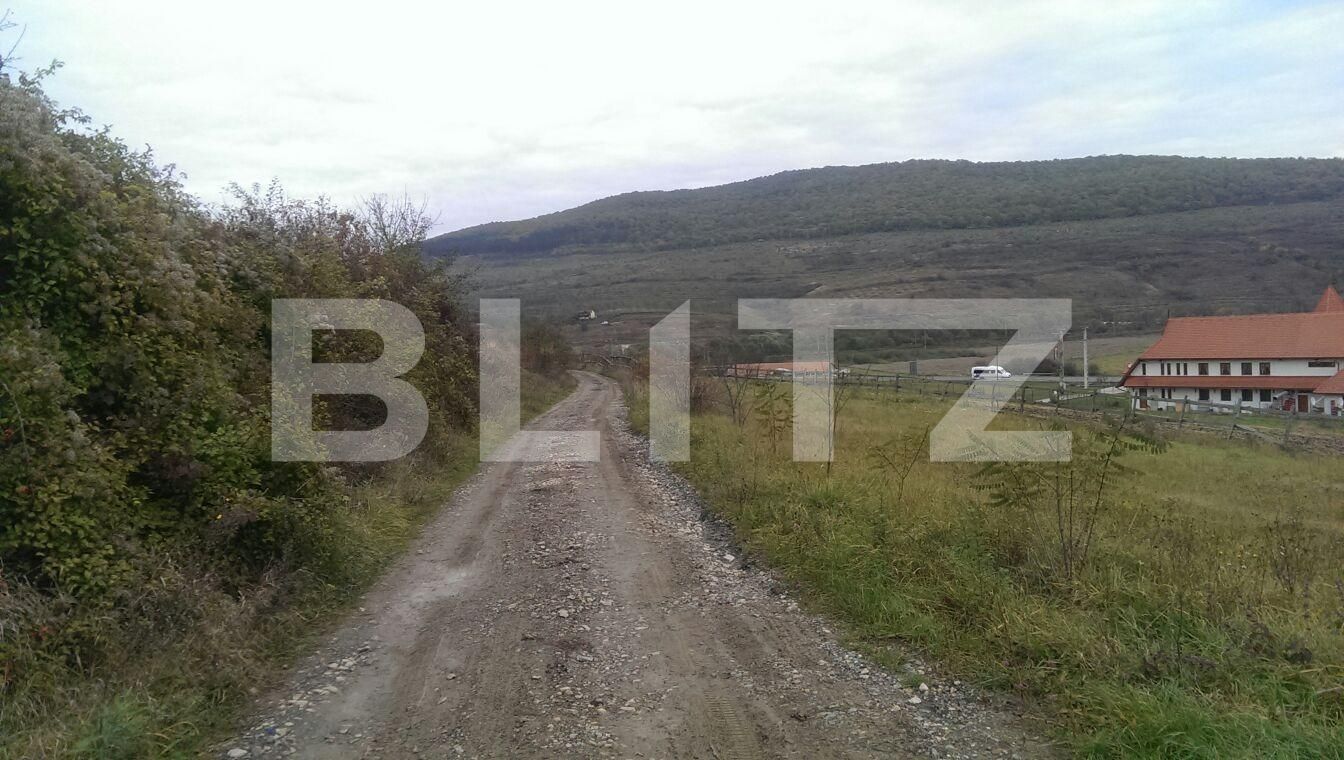 Teren de vânzare Baciu - 30266TV | BLITZ Cluj-Napoca | Poza2