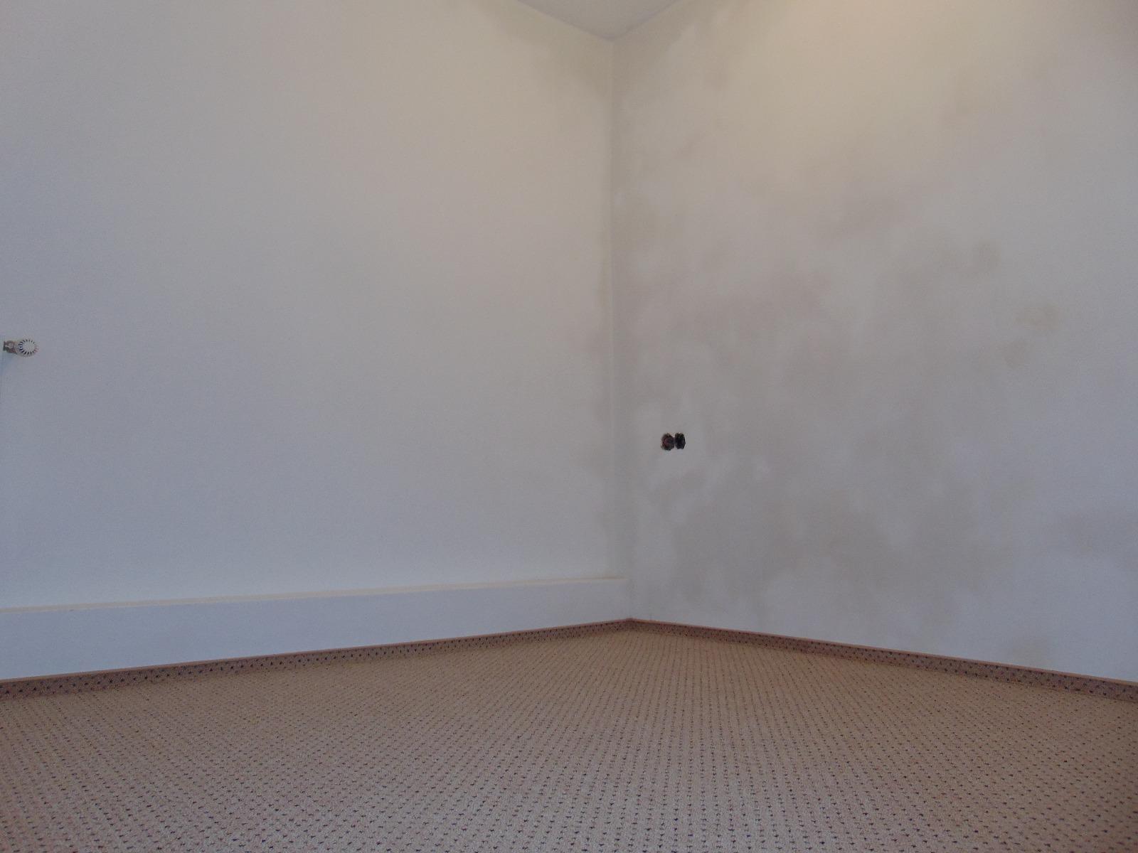 Casa de vânzare 3 camere Someseni - 30269CV | BLITZ Cluj-Napoca | Poza5