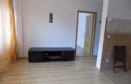 De vanzare apartament cu 2 camere, 43 mp, zona strazii Teilor!