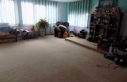 Casa individuala de vanzare, 160 mp utili, teren de 230 mp, zona linistita!