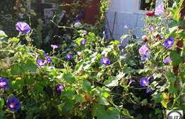 Apartament de vanzare in imobil tip casa! Zona Centrala!