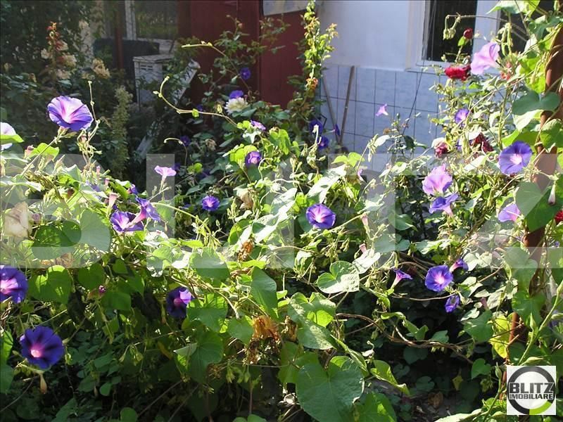 Garsonieră de vânzare Central - 3029AV | BLITZ Cluj-Napoca | Poza5