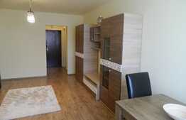 De inchiriat garsoniera, 30 mp, zona Iulius Mall