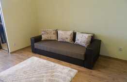 De inchiriat garsoniera, 30 mp, zona Iulius Mall