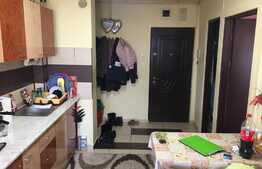 De vanzare garsoniera, 28 mp, boxa, zona Leroy Merlin