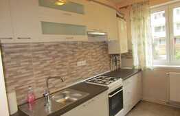 Apartament 2 camere, 47 mp, recent renovat, zona strazii Liviu Rebreanu