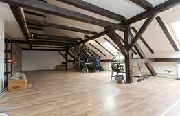 Spatiu de birouri elegant in zona ultracentrala, 230 mp