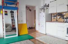 Apartament 2 camere, 50 mp, zona Hotelului Opera Plaza