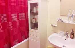 Apartament 2 camere, 50 mp, zona Hotelului Opera Plaza