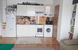 Apartament 2 camere, 50 mp, zona Hotelului Opera Plaza