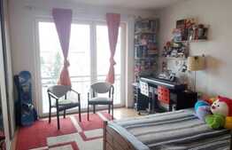 Apartament 2 camere, 50 mp, zona Hotelului Opera Plaza