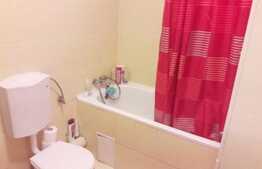 Apartament 2 camere, 50 mp, zona Hotelului Opera Plaza