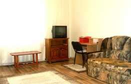 Apartament o camera, 45 mp, decomandat, terasa, zona Piata Unirii