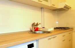 Apartament o camera, 45 mp, decomandat, terasa, zona Piata Unirii