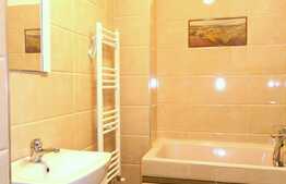 Apartament o camera, 45 mp, decomandat, terasa, zona Piata Unirii