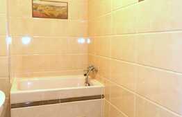 Apartament o camera, 45 mp, decomandat, terasa, zona Piata Unirii