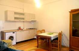 Apartament o camera, 45 mp, decomandat, terasa, zona Piata Unirii