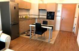 De inchiriat 2 camere, 57 mp, imobil nou, garaj, complex Viva City