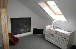 Apartament pe doua niveluri, in vila, 3 camere, 80 mp! Zona Tauti!