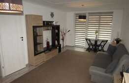 Apartament pe doua niveluri, in vila, 3 camere, 80 mp! Zona Tauti!